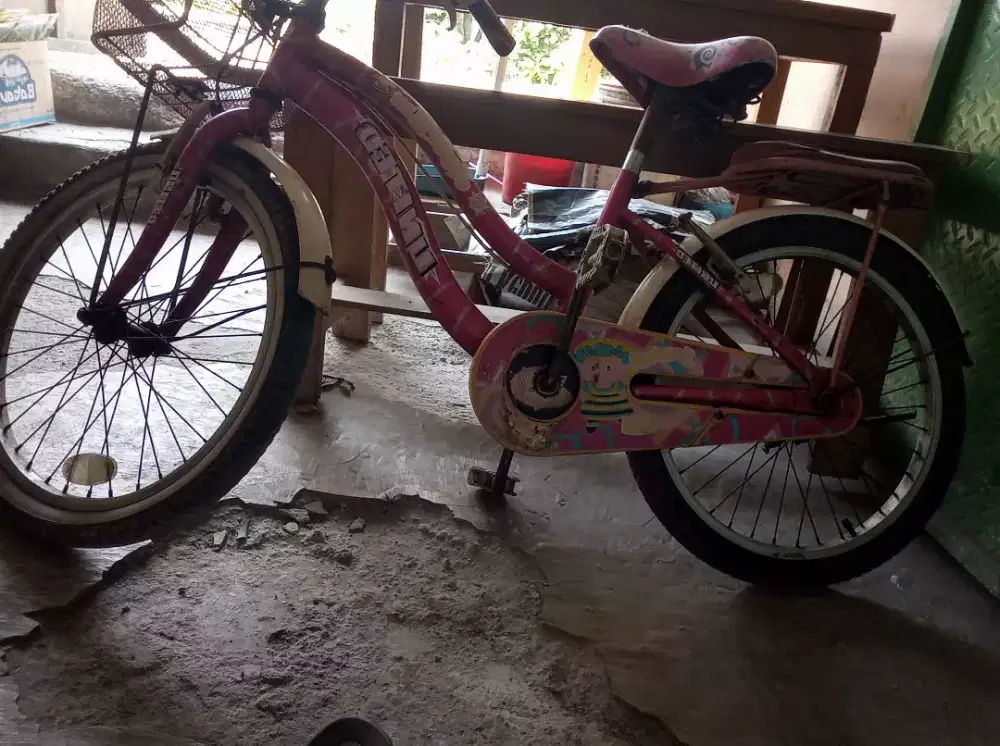 Sepeda anak perempuan