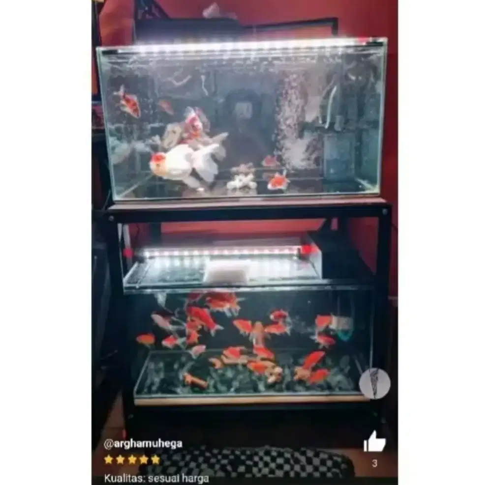 Rak aquarium Rak serbaguna P60cm L40cm T60cm Rak besi kokoh