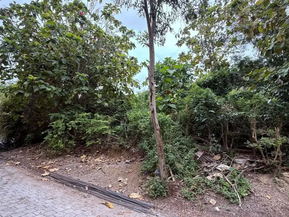Freehold - Prime Ocean View Land for Sale in Labuan Sait, Pecatu, Uluwatu, Bali