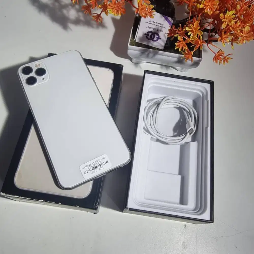 iPhone 11 Pro Max 256GB – Silver GG77487