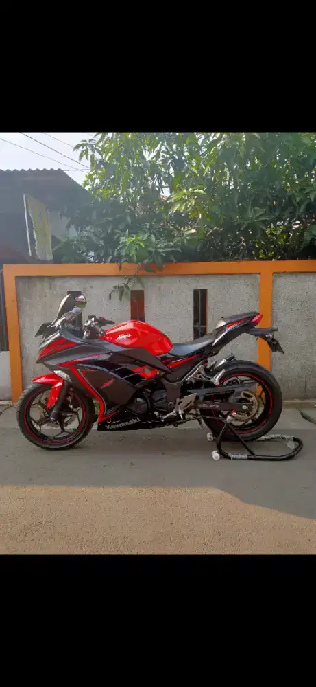 KAWASAKI NINJA 250 FI SPESIAL EDITION LOW KM