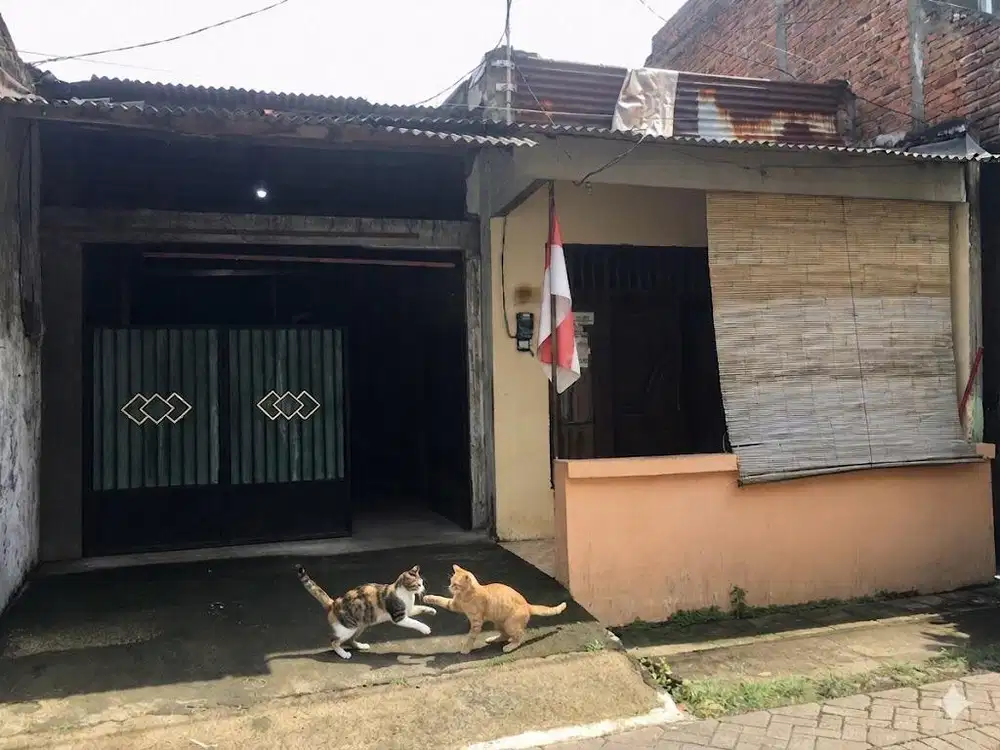 Dijual Rumah Akses Mobil
