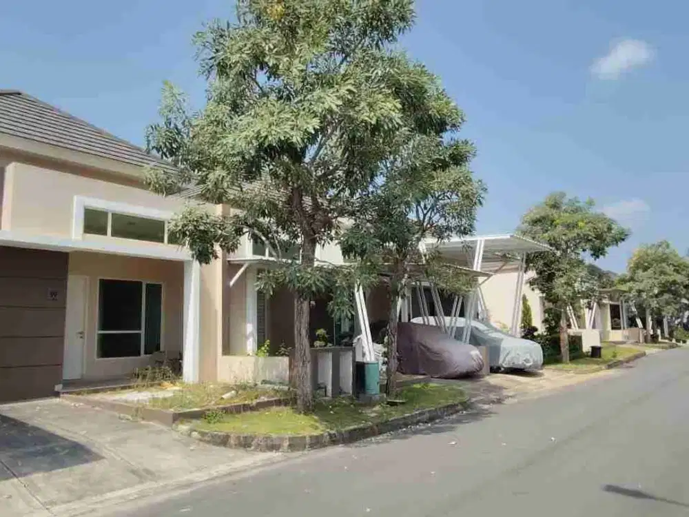 Cluster Citrine 90 Paragon Hill