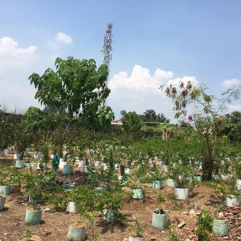 Dijual Tanah luas depan jalan raya