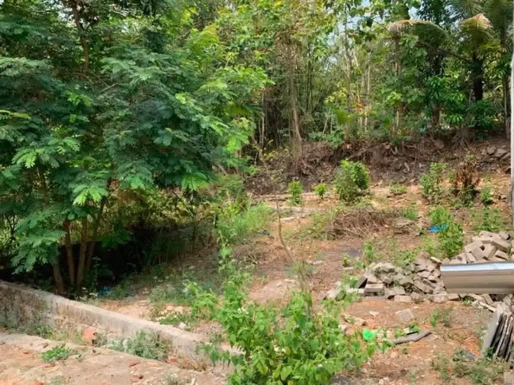 Tanah Kavling Luas 90 Meter Persegi Lokasi Argorejo - Sedayu Bantul