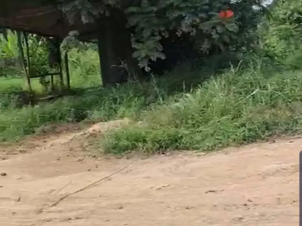 Dijual Kavling Jalan Riffadin Samarinda Kal-tim