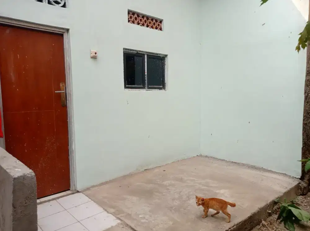 Disewakan kontrakan 1 kamar di Condet