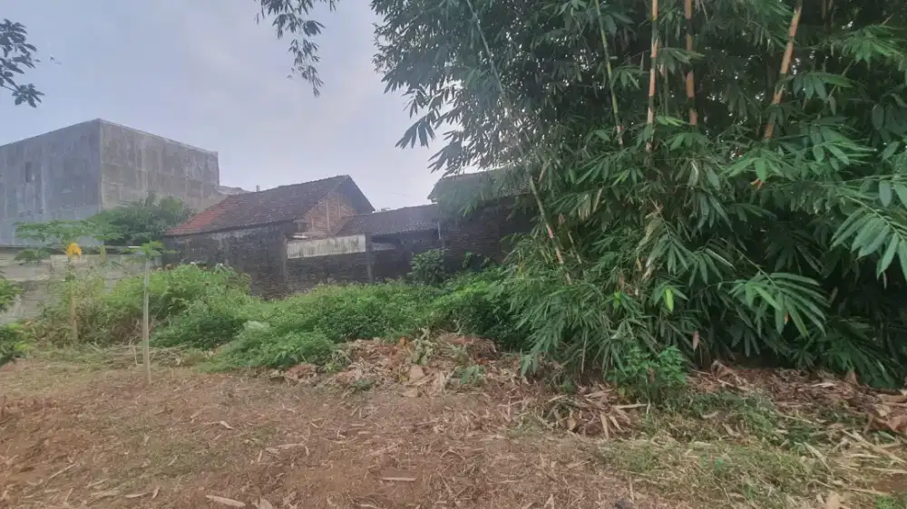 Tanah Pekarangan Belakang The Wujil Resort Ungaran