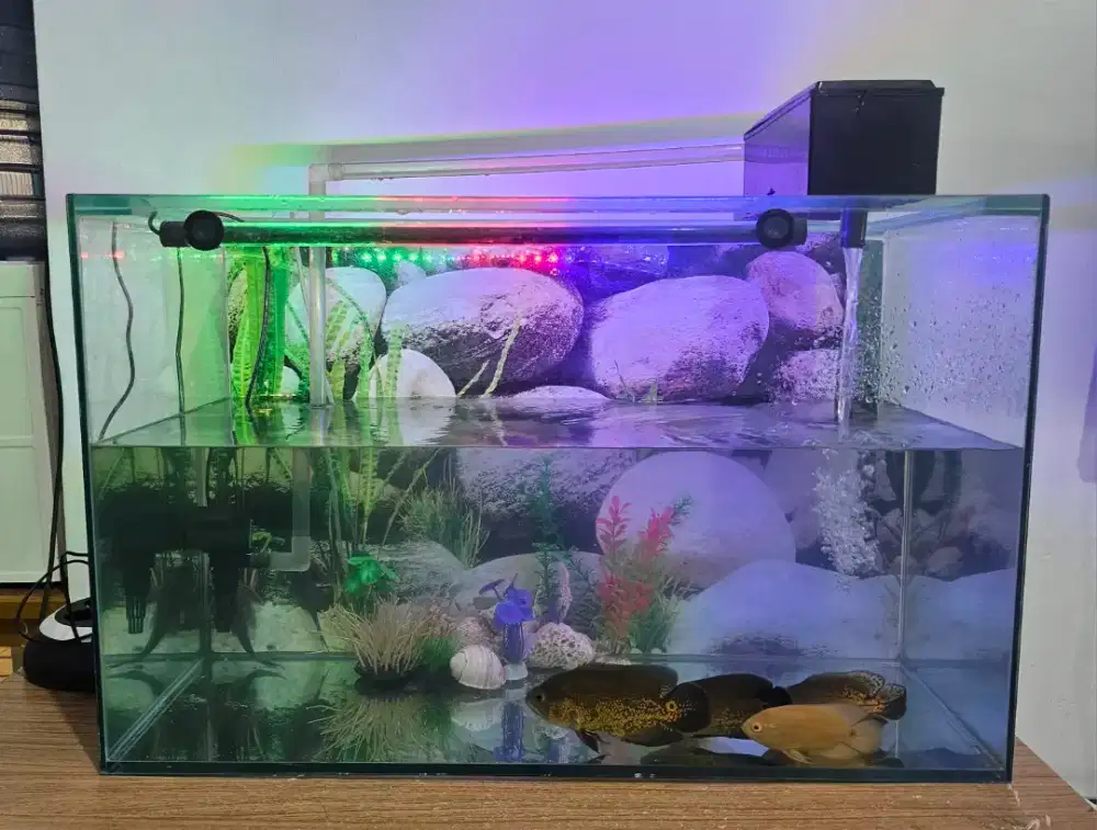 Aquarium 1 set plus ikan dan hiasan aquarium