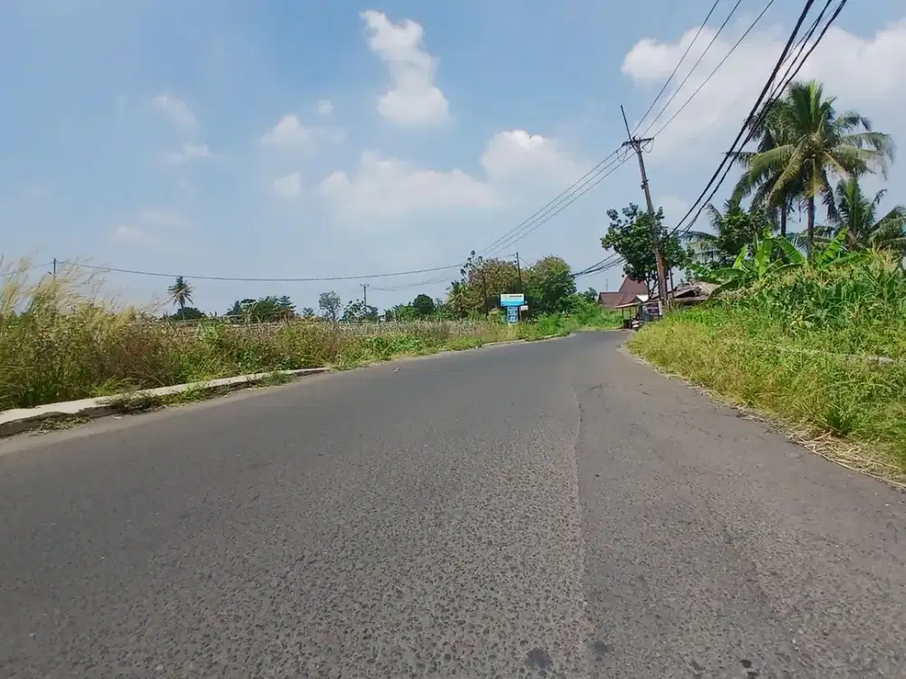 Strategis dan Murah Dapatkan Segera Tanah Kavling Dekat IPB