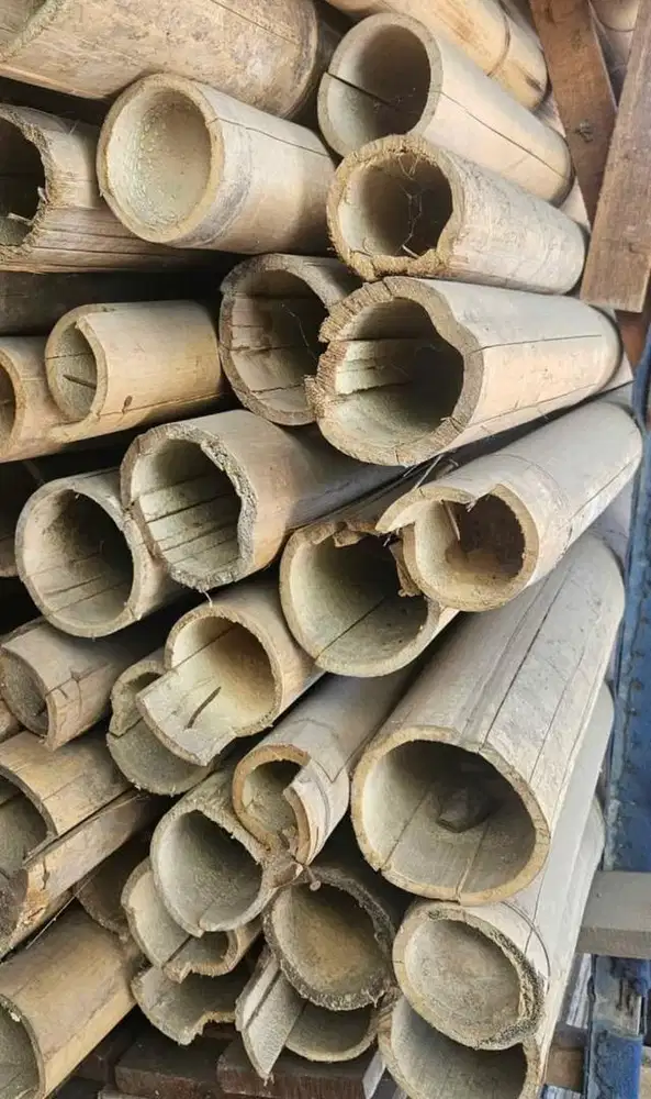 pring/bambu untuk proyek