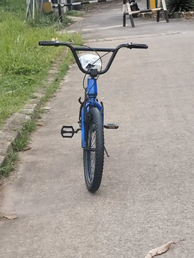 BMX Evergreen uk 20