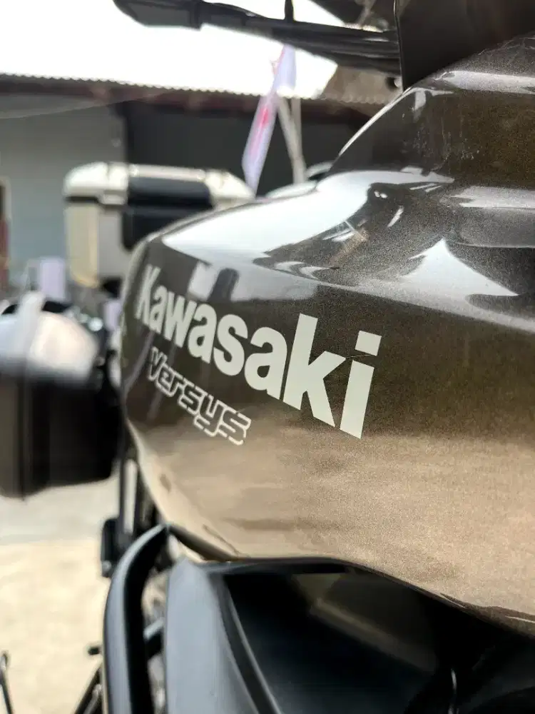 Kawasaki versys 650 cc