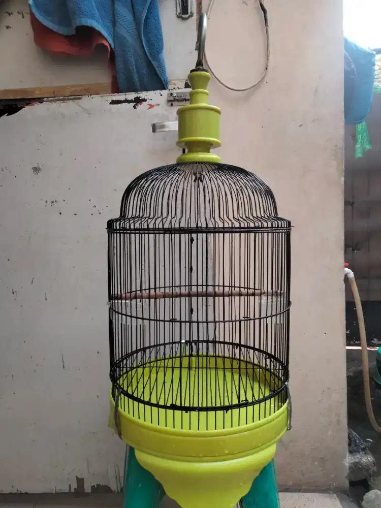 Sangkar Lovebird model kubah tebok PVC