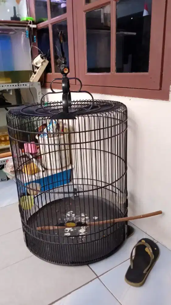 Kandang murai no2 wbs