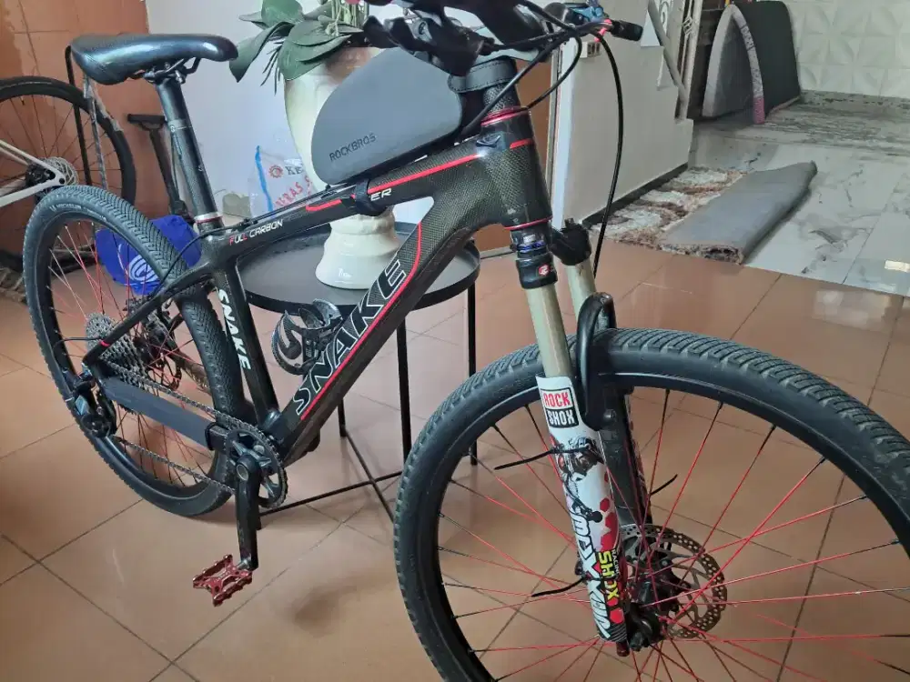 Sepeda gunung carbon