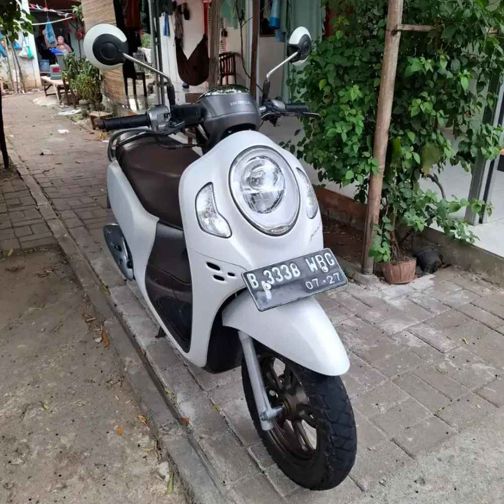 Scoopy fi taun 2022