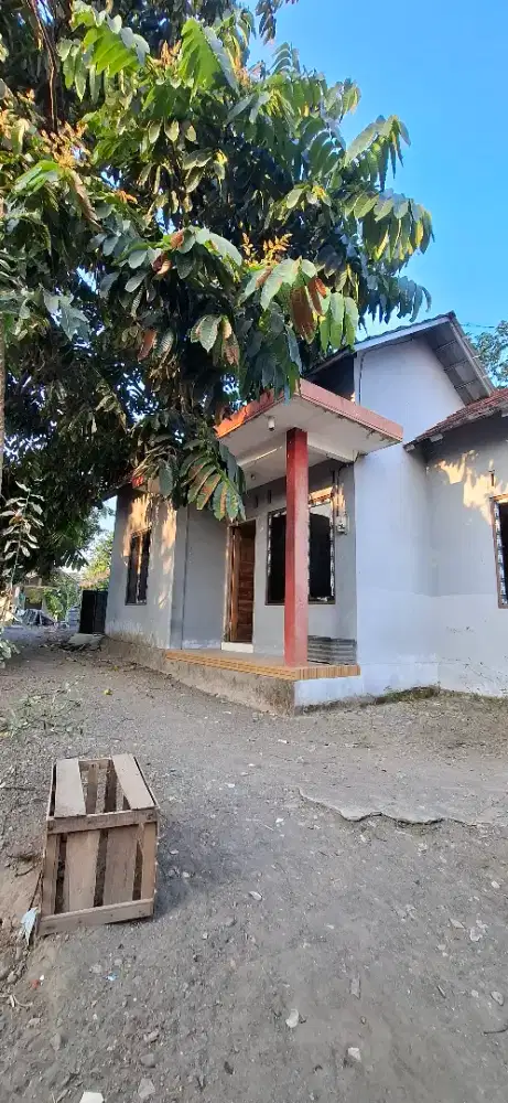 Rumah disewakan