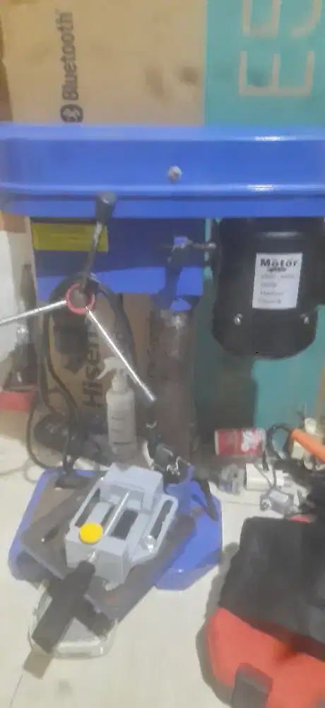 Bor duduk mollar