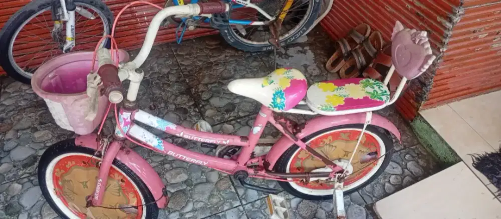 Sepeda Anak Siap Pakai