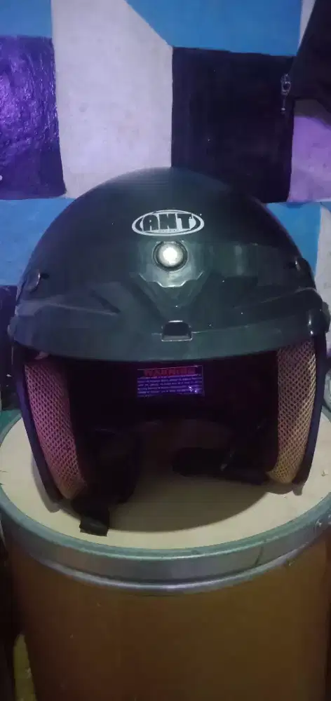 Helm mode Bogo (ant)