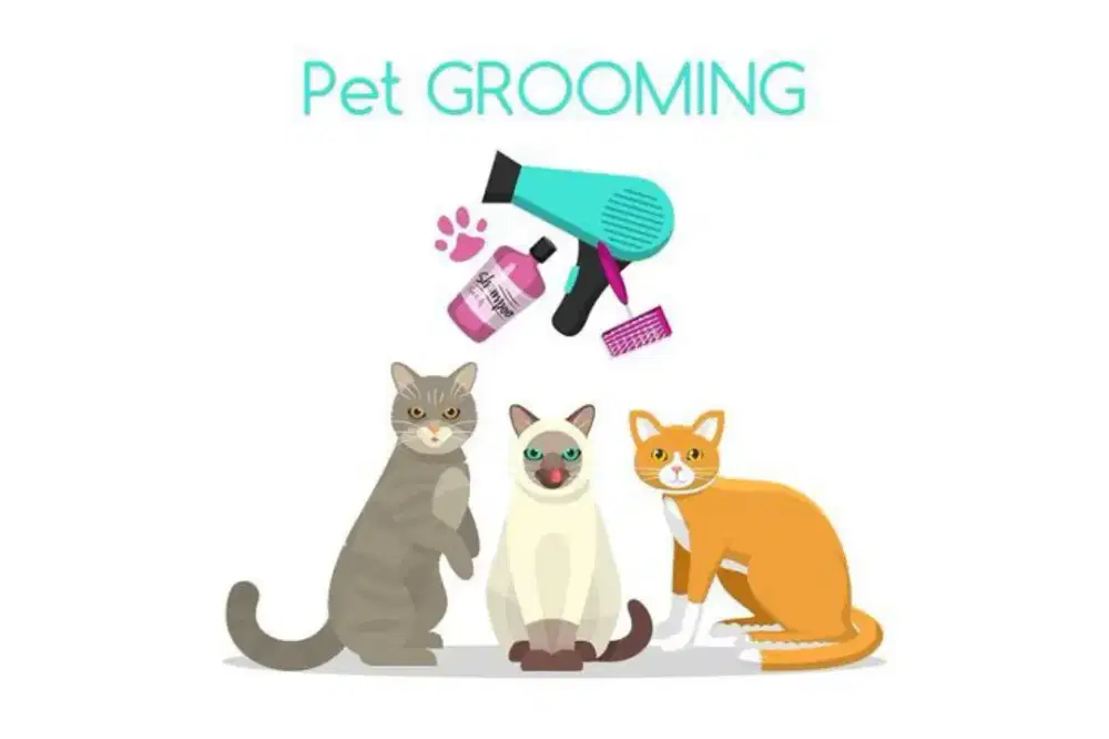 Dicari khusus pria pegawai pet shop