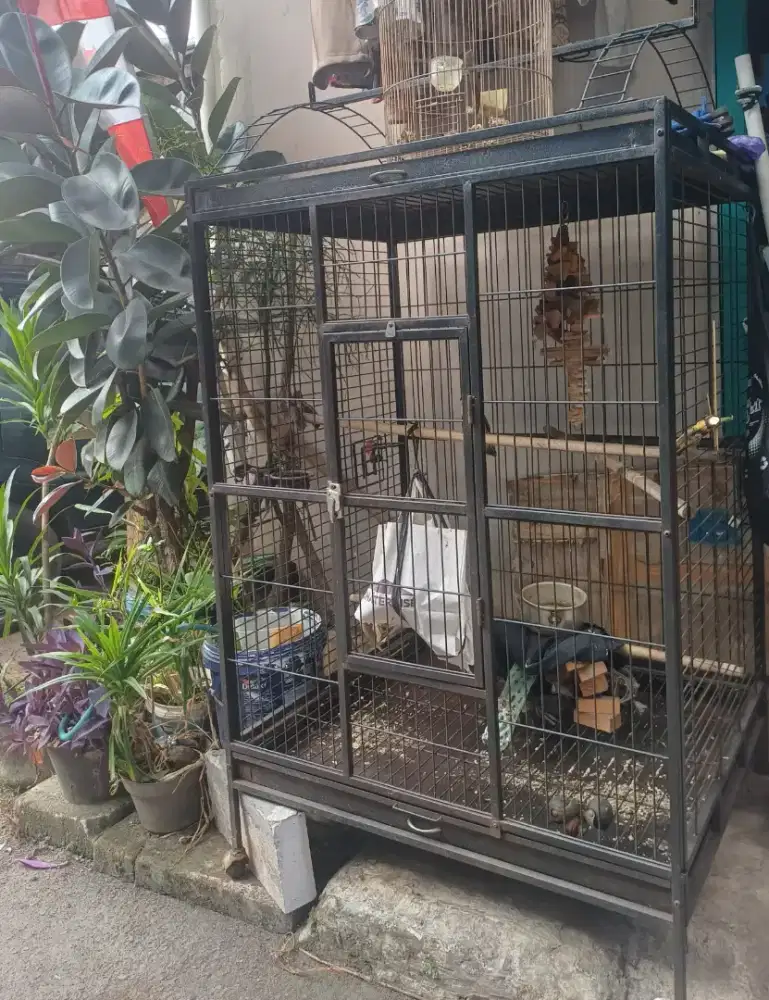 Kandang Burung Besi Besar & Kokoh – Siap Pakai