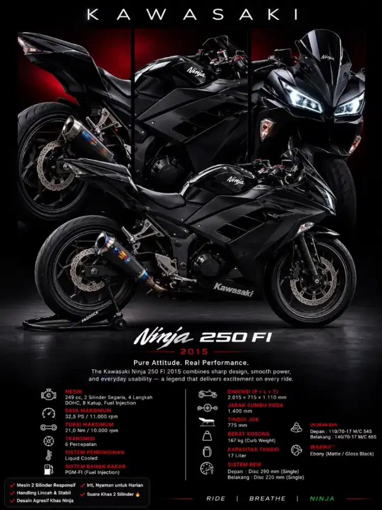 Kawasaki Ninja Fi 250cc