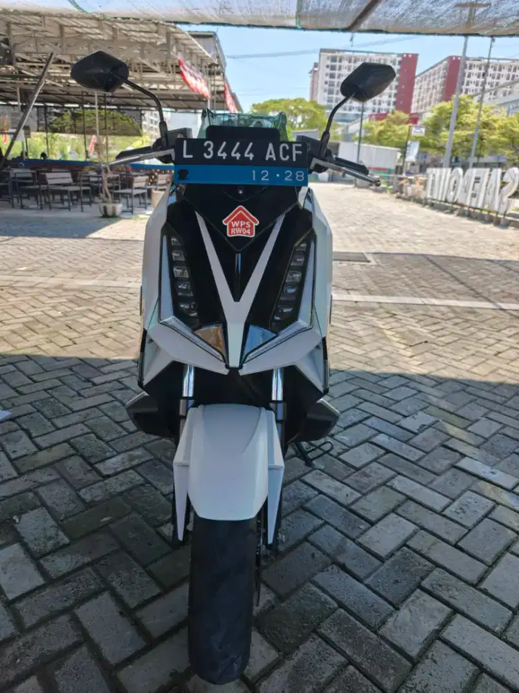 Alva cervo 2023