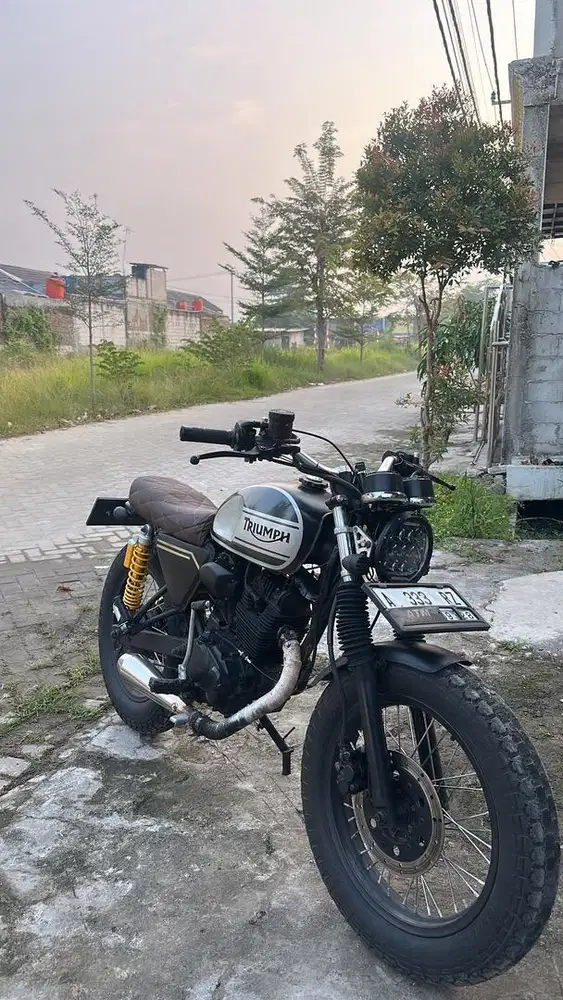 Motor custom tiger