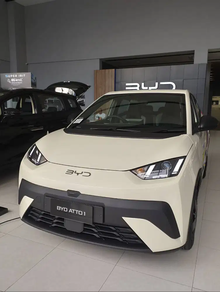 BYD EV / HYBRIDA (ATTO 1, ATTO 3, M6, M6 DM)