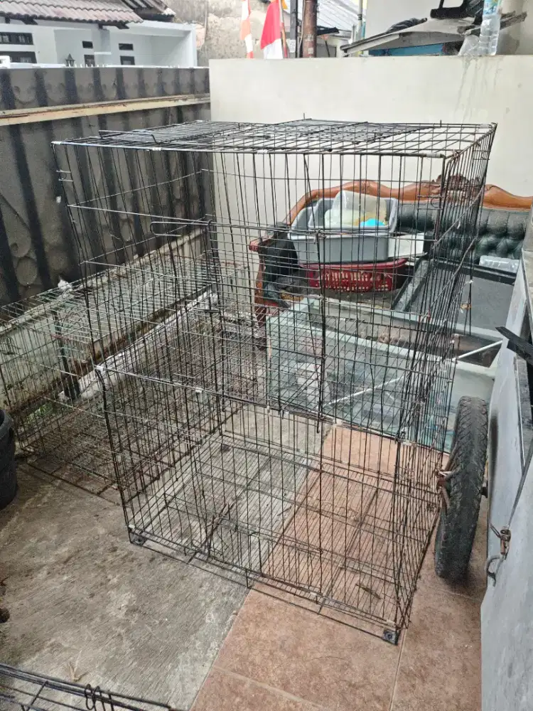 Borongan kandang kucing