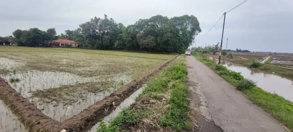 Dijual Sawah Produktif