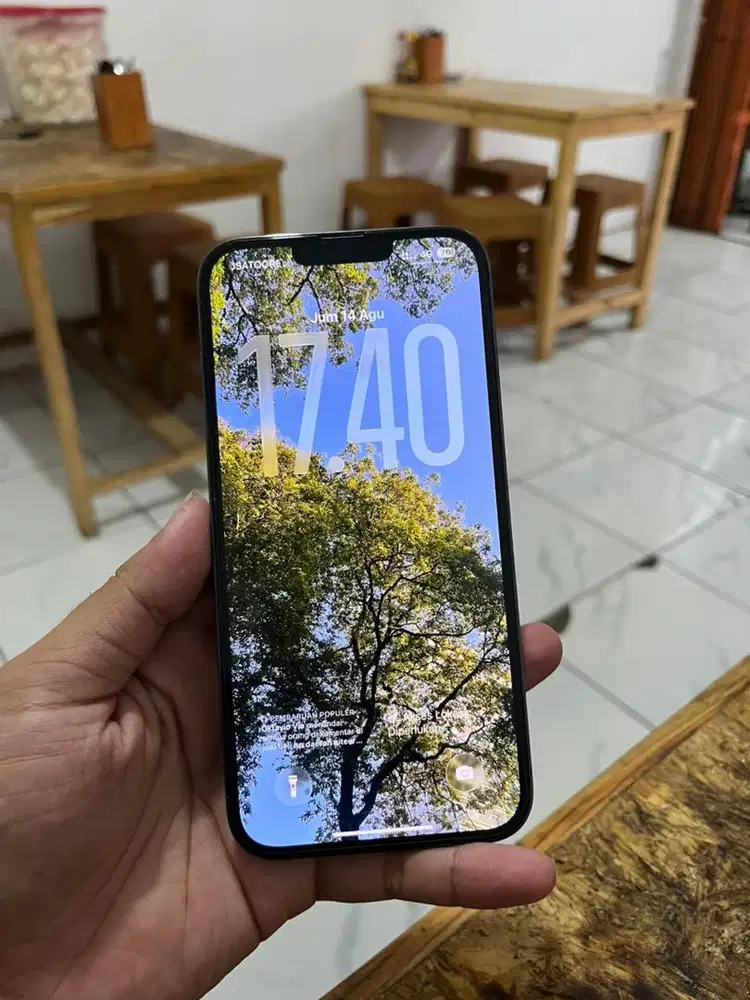 iPhone 13 PRO MAX 256GB dual sim fisik