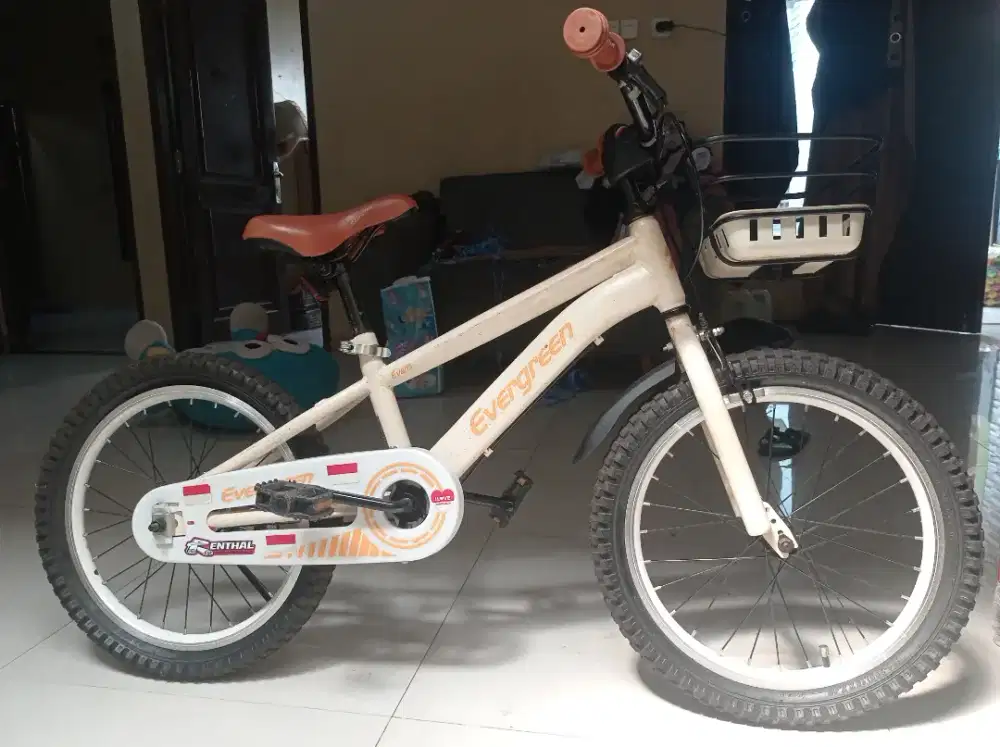 SEPEDA EVERGREEN ANAK