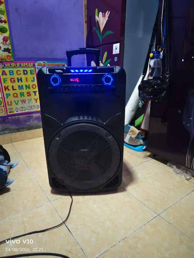 Speaker Asatron 15 in