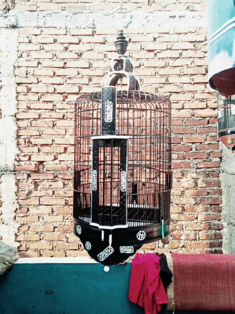 Jual sangkar burung list aklirik