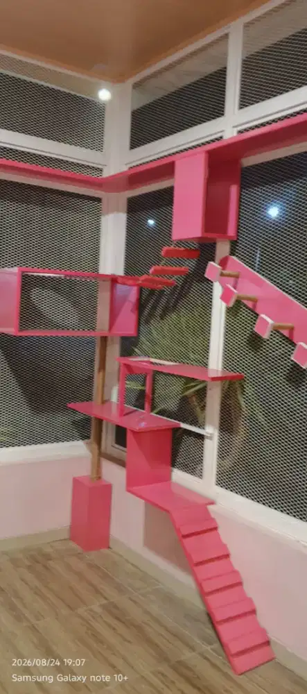 Pet shop rumah kucing