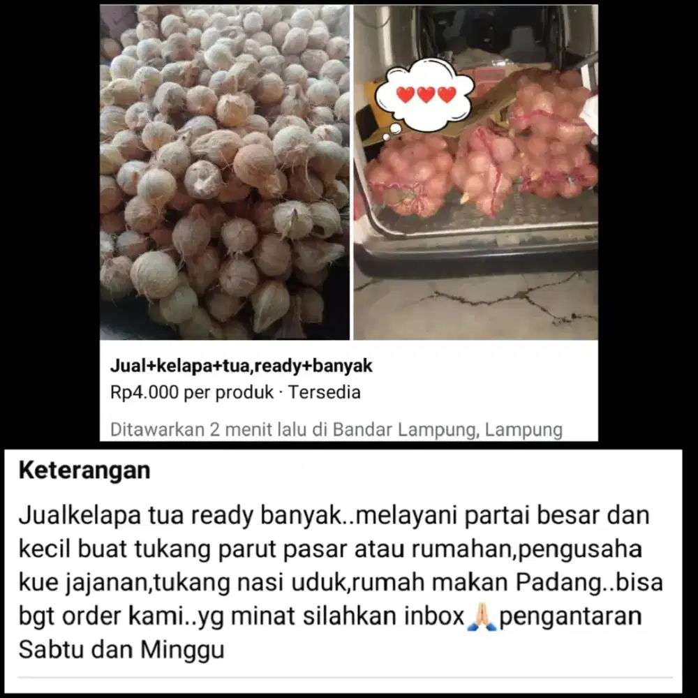 Kelapa/kelapa utuh/kelapa tua