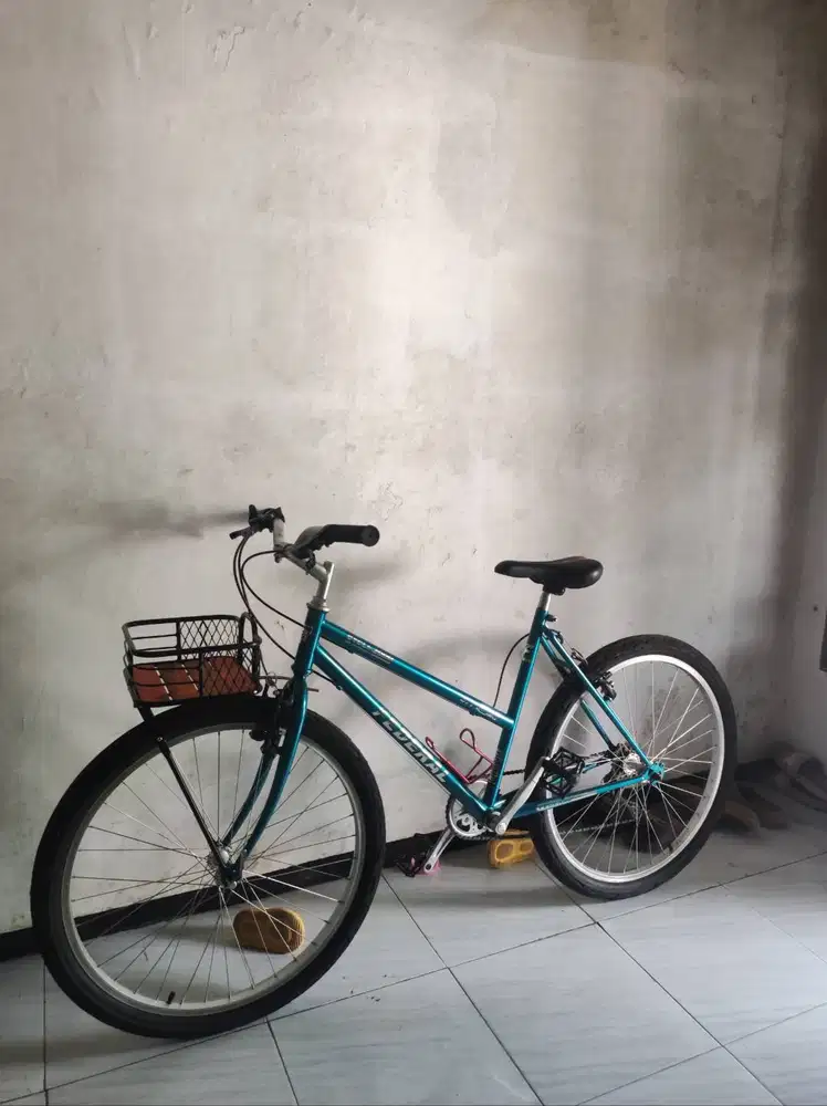 Sepeda kalcer, federal lady, commuter bike