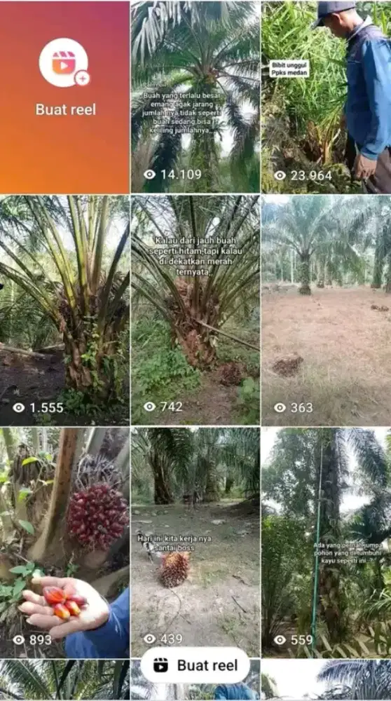 Cari TK yang serius mau kerja