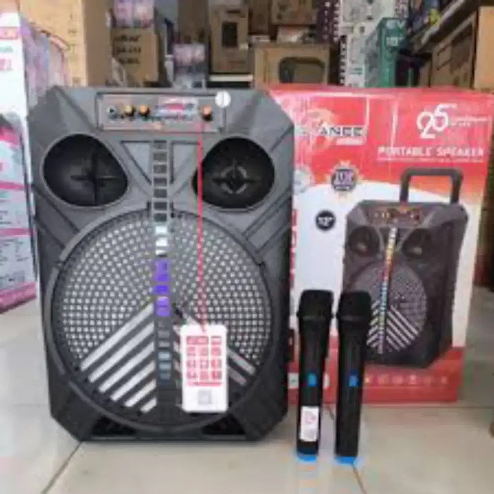 Portabel speaker 12inch,2mic wireless