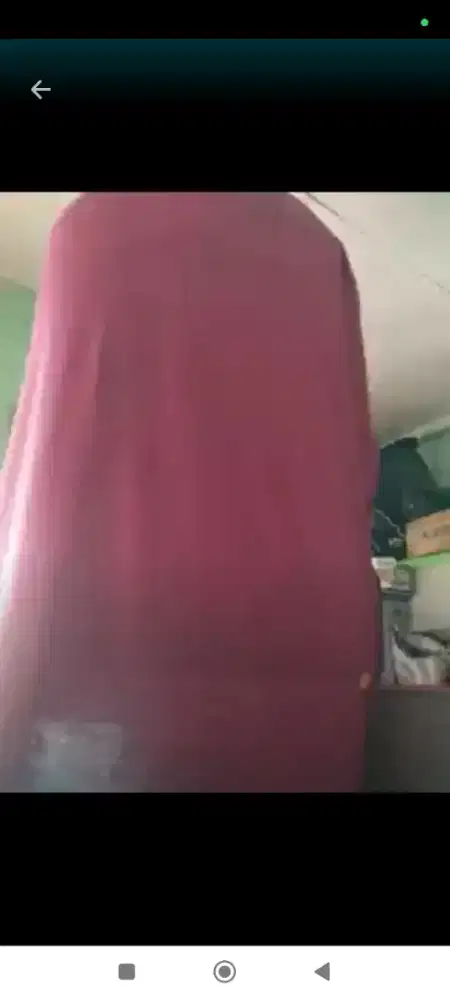 Kandang murai no3