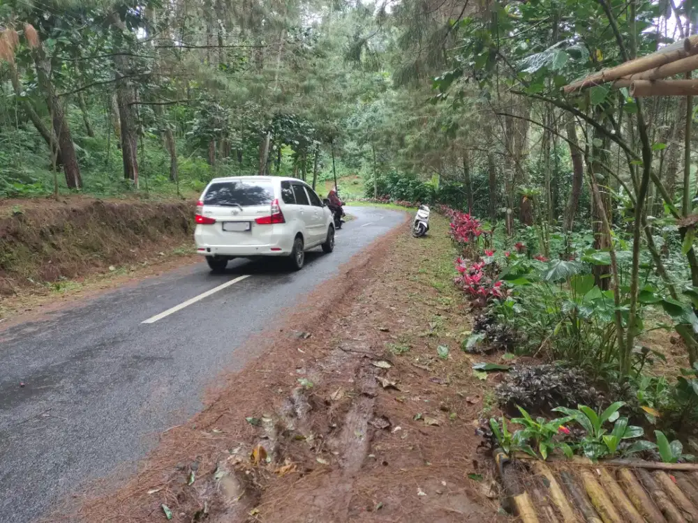 Tanah Kebun Kopi Produktif Pinggir Jalan - 10 Menit Wisata Kota Bunga