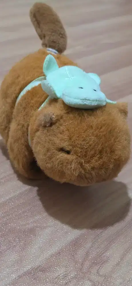 Boneka Capybara Tempel
