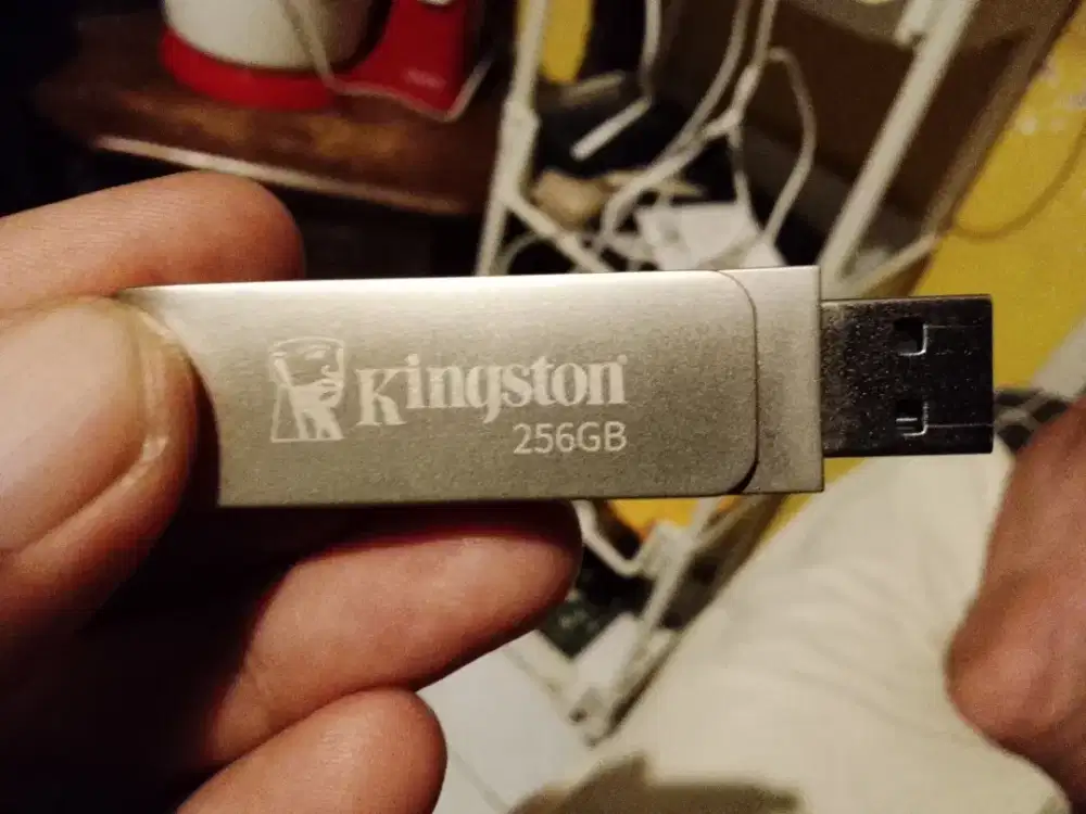 plasdisk merek Kingston 256gb