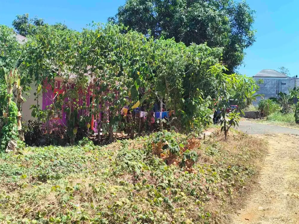DIJUAL TANAH DEKAT GOR SUDIANG DAN SMP 36 MAKASSAR