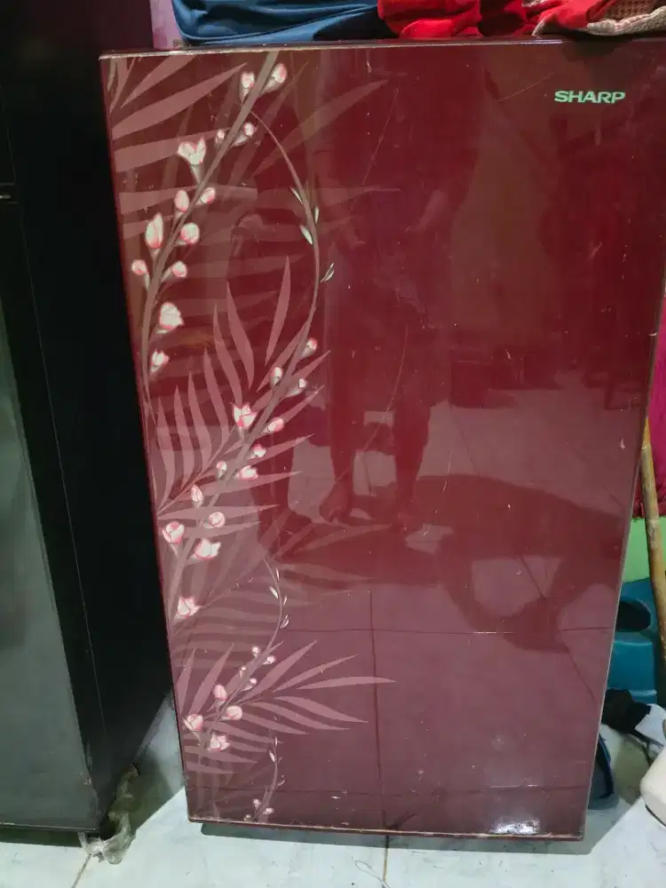 Kulkas Sharp 1 pintu
