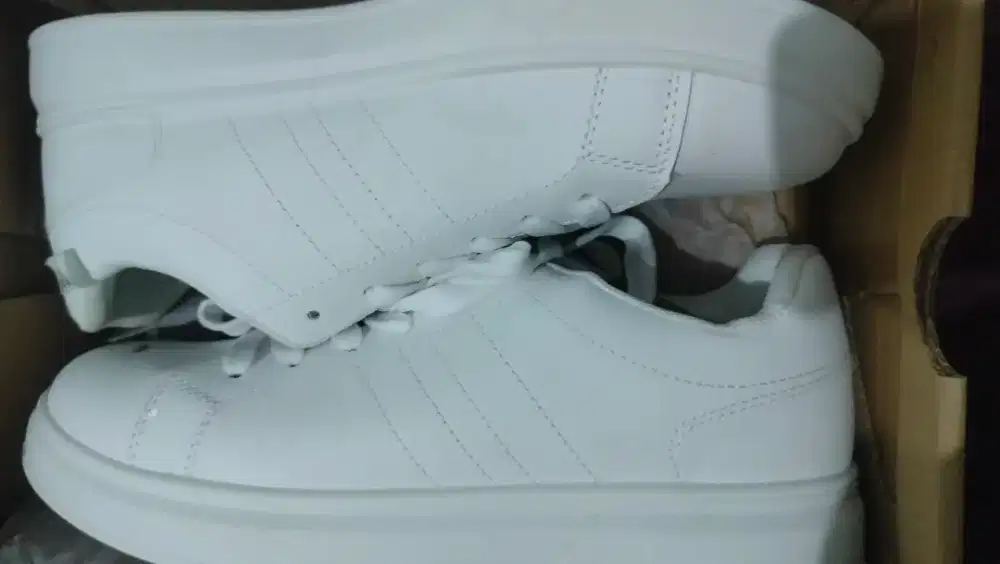 Sepatu baru merk Northstar