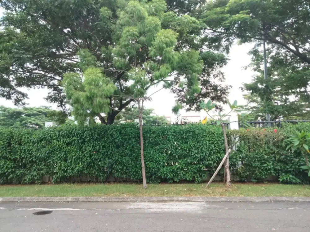 Cuma 11.7 Jt/M Kavling Cluster Yarra Jgc Cakung *n1117qita